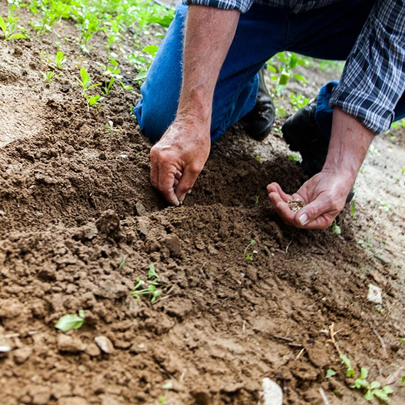 gardening-skills-champion-2aspire